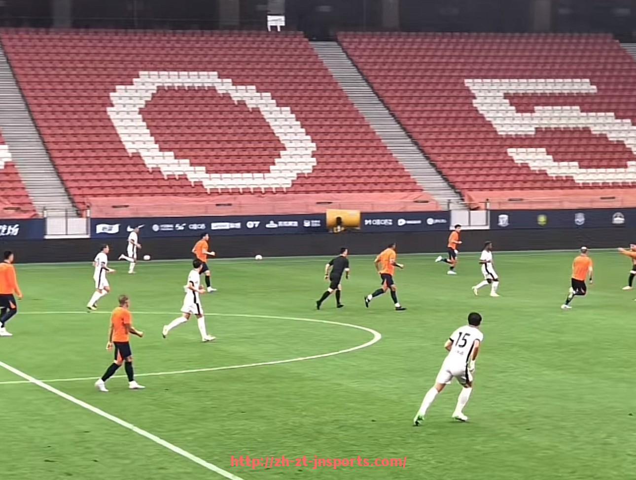 JN江南体育-意甲与法甲昔日豪门的衰落原因对比分析